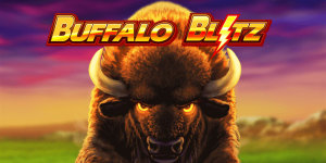 buffalo blitz