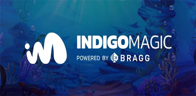 Trik Bermain Slot Online Indigo Magic